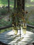 bottles
