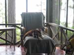 dogchair