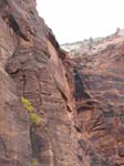 1rockface
