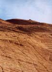 petrifieddunes