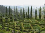 boxgardenview