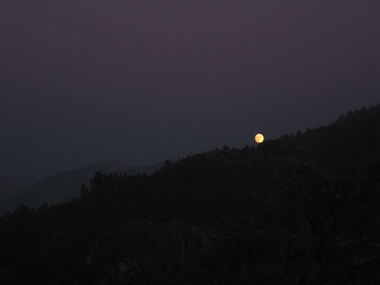 8DRKMOONRISE