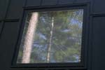 9treewindow