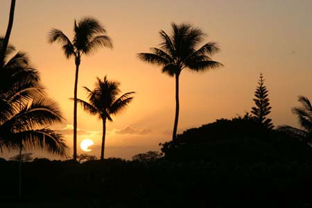 sunriseheaiu