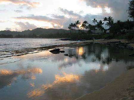 tidepool
