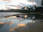 tidepool