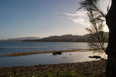CRW_6811
