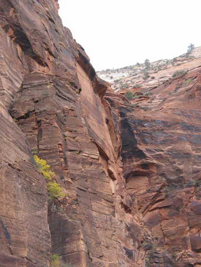 1rockface