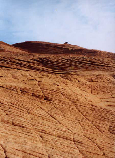petrifieddunes