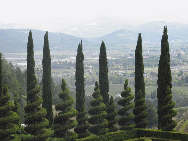 newtontalltrees