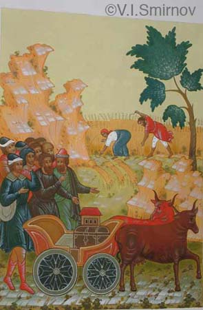 77vladimir