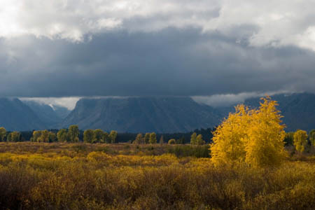 CRW_5111