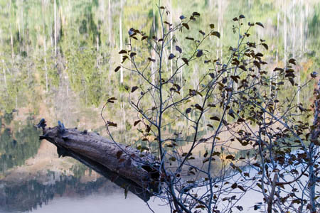 CRW_5448